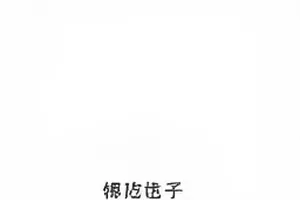 正片与花絮片段对比示意，缺失部分用斜纹色块标注